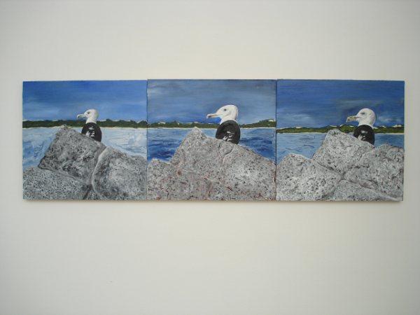Pondgull Triptych
