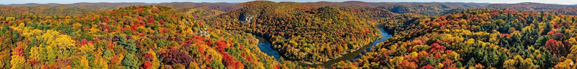 Banner image for Nebula journal