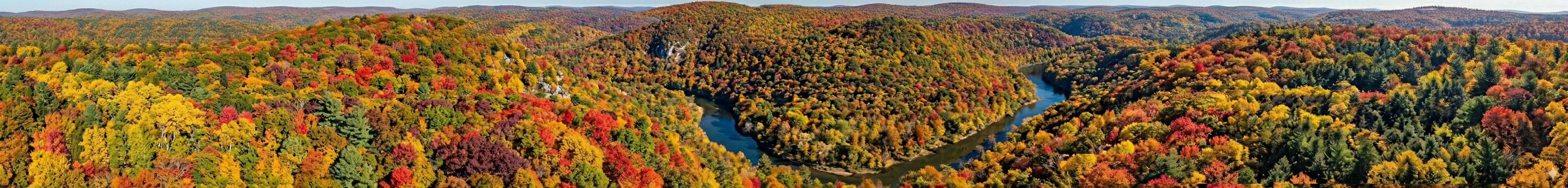 Banner image for Nebula journal